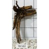Spiderwood 532