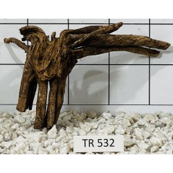 Spiderwood 532