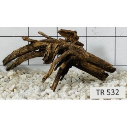 Spiderwood 532