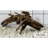 Spiderwood 532
