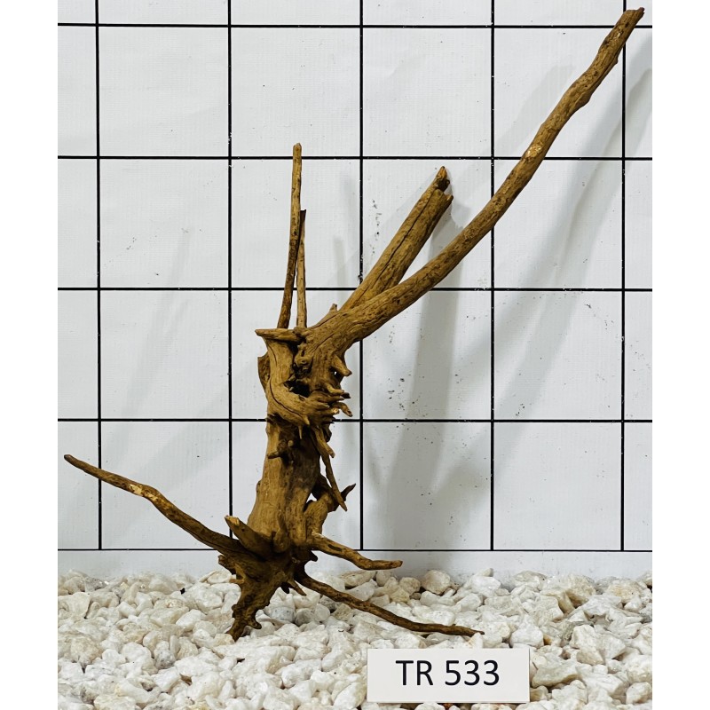 Spiderwood 533