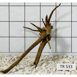 Spiderwood 533