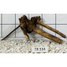 Spiderwood 534
