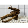 Spiderwood 534