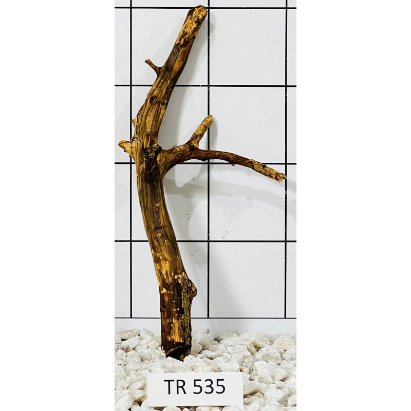 Spiderwood 535