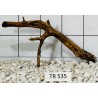 Spiderwood 535
