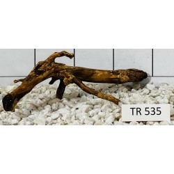 Spiderwood 535
