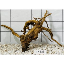 Spiderwood 536