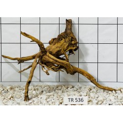 Spiderwood 536