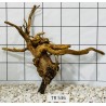 Spiderwood 536
