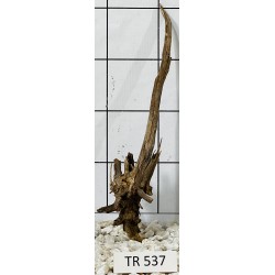 Spiderwood 537