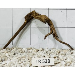 Spiderwood 538