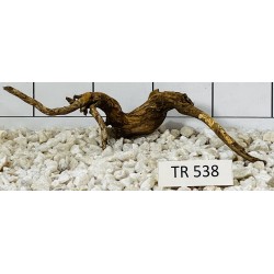 Spiderwood 538