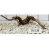 Spiderwood 538