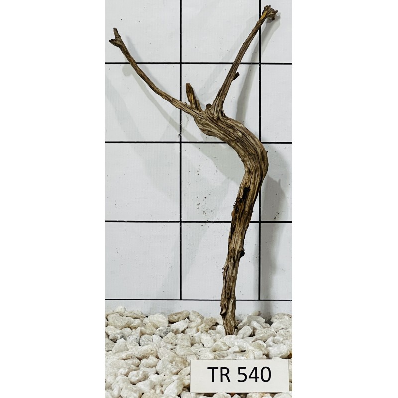 Spiderwood 540