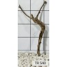 Spiderwood 540
