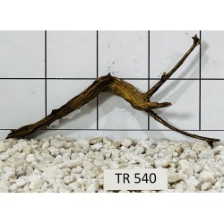 Spiderwood 540