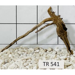 Spiderwood 541
