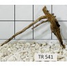 Spiderwood 541