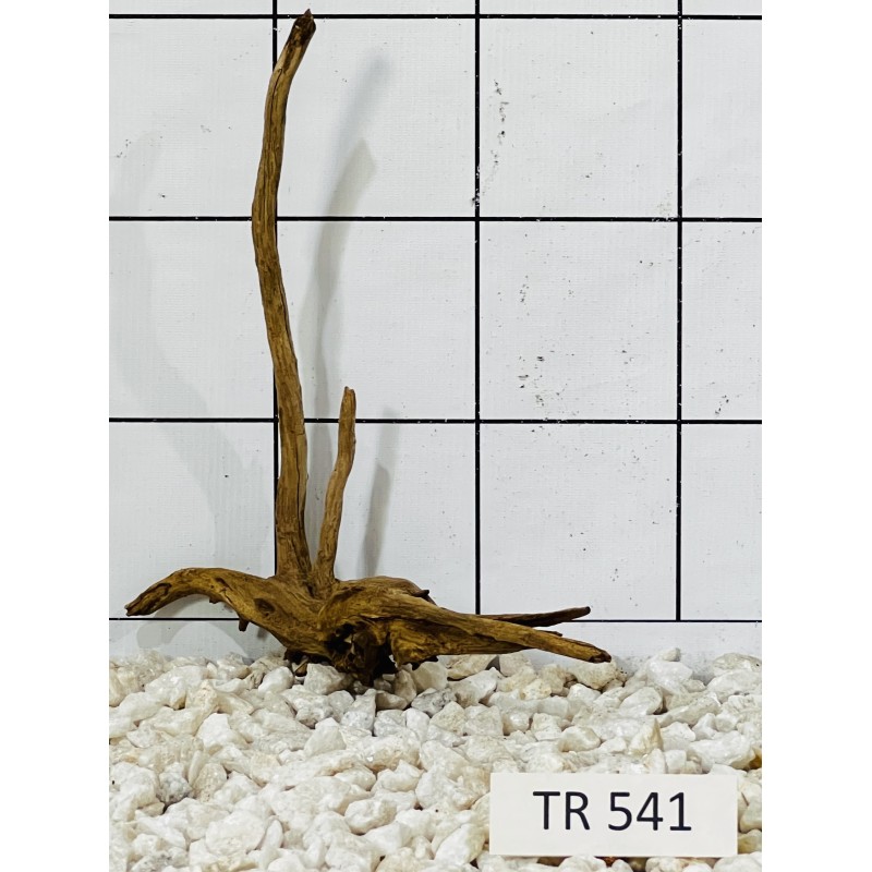 Spiderwood 541