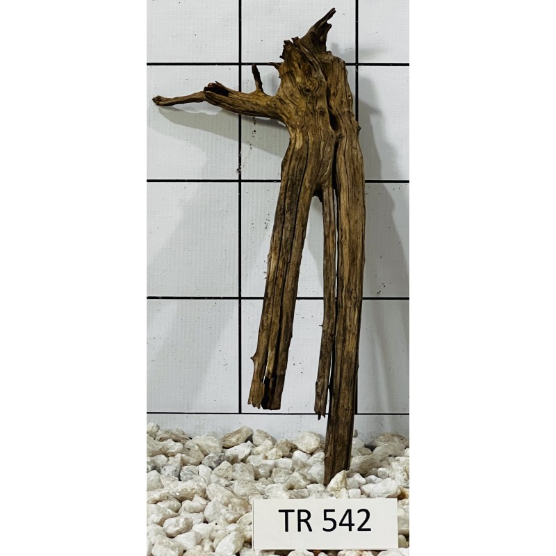 Spiderwood 542