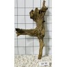 Samoa wood 34