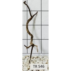 Spiderwood 546