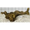 Samoa wood 34