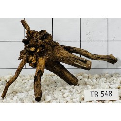 Spiderwood 548