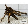 Spiderwood 548