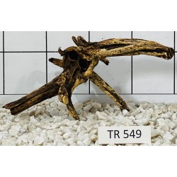 Spiderwood 549