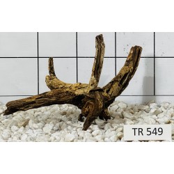 Spiderwood 549