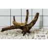Spiderwood 549