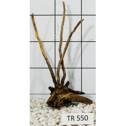 Spiderwood 550