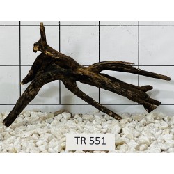 Spiderwood 551
