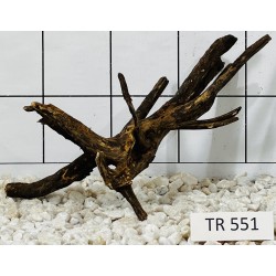 Spiderwood 551