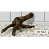 Spiderwood 552