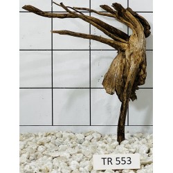 Spiderwood 553