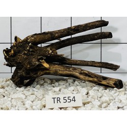 Spiderwood 554