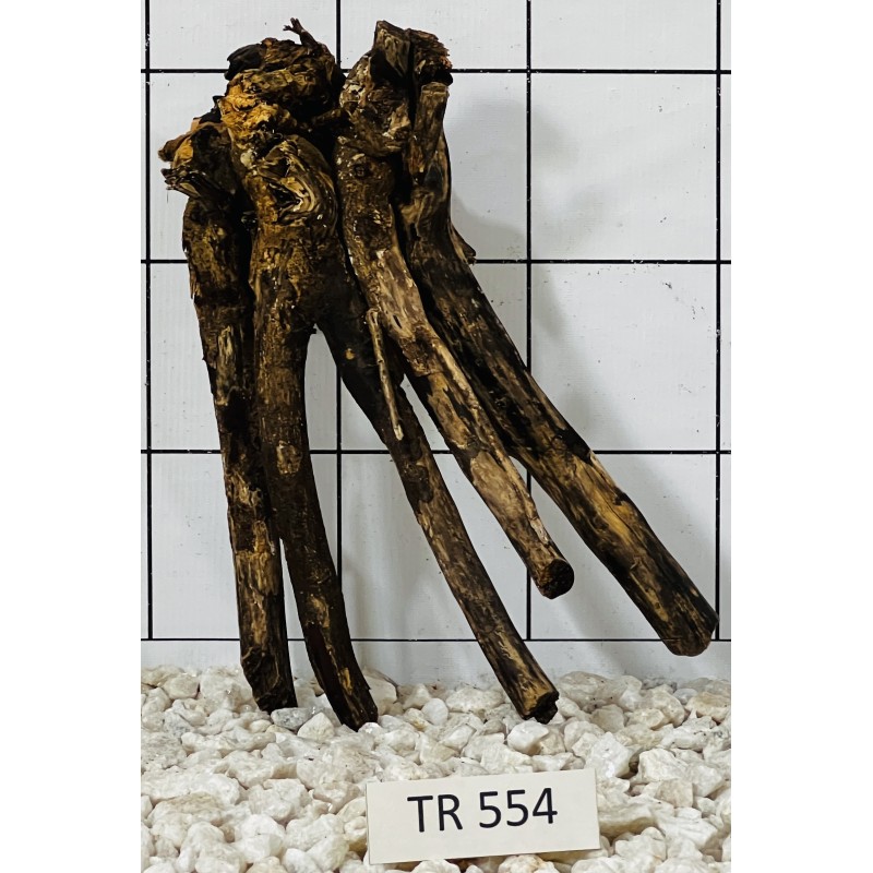 Spiderwood 554