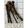 Spiderwood 554
