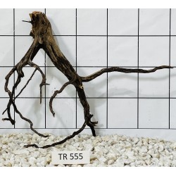 Spiderwood 555