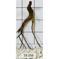 Spiderwood 556