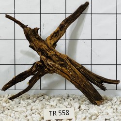 Spiderwood 558
