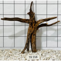 Spiderwood 558