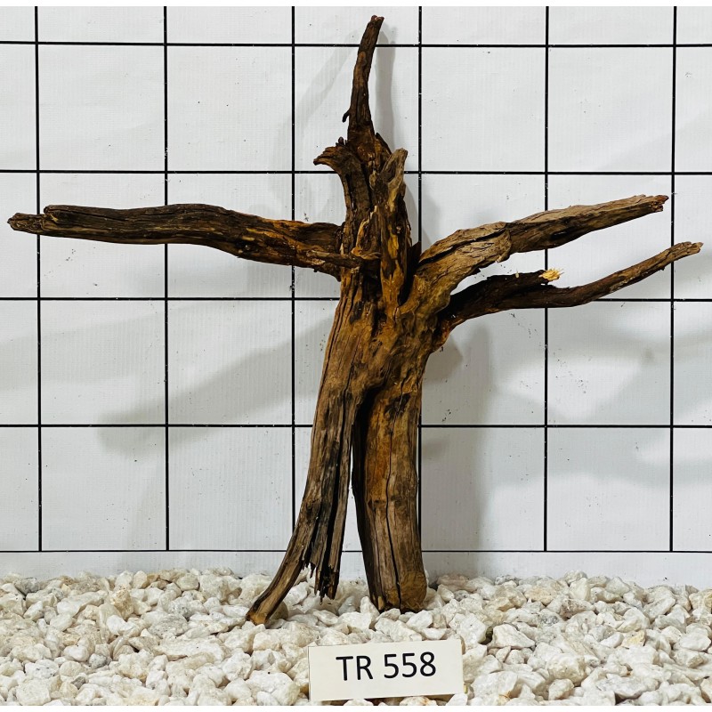 Spiderwood 558