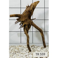 Spiderwood 559