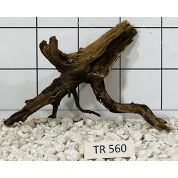 Spiderwood 560