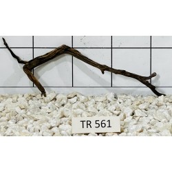 Spiderwood 561