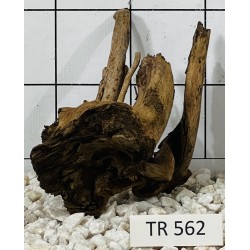 Spiderwood 562